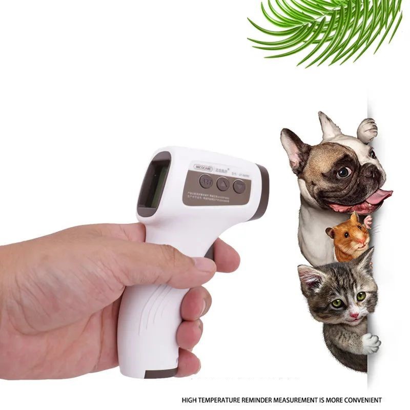 Instant Read Thermometer - Thermomètre équipement vétérinaire produit corporel électronique