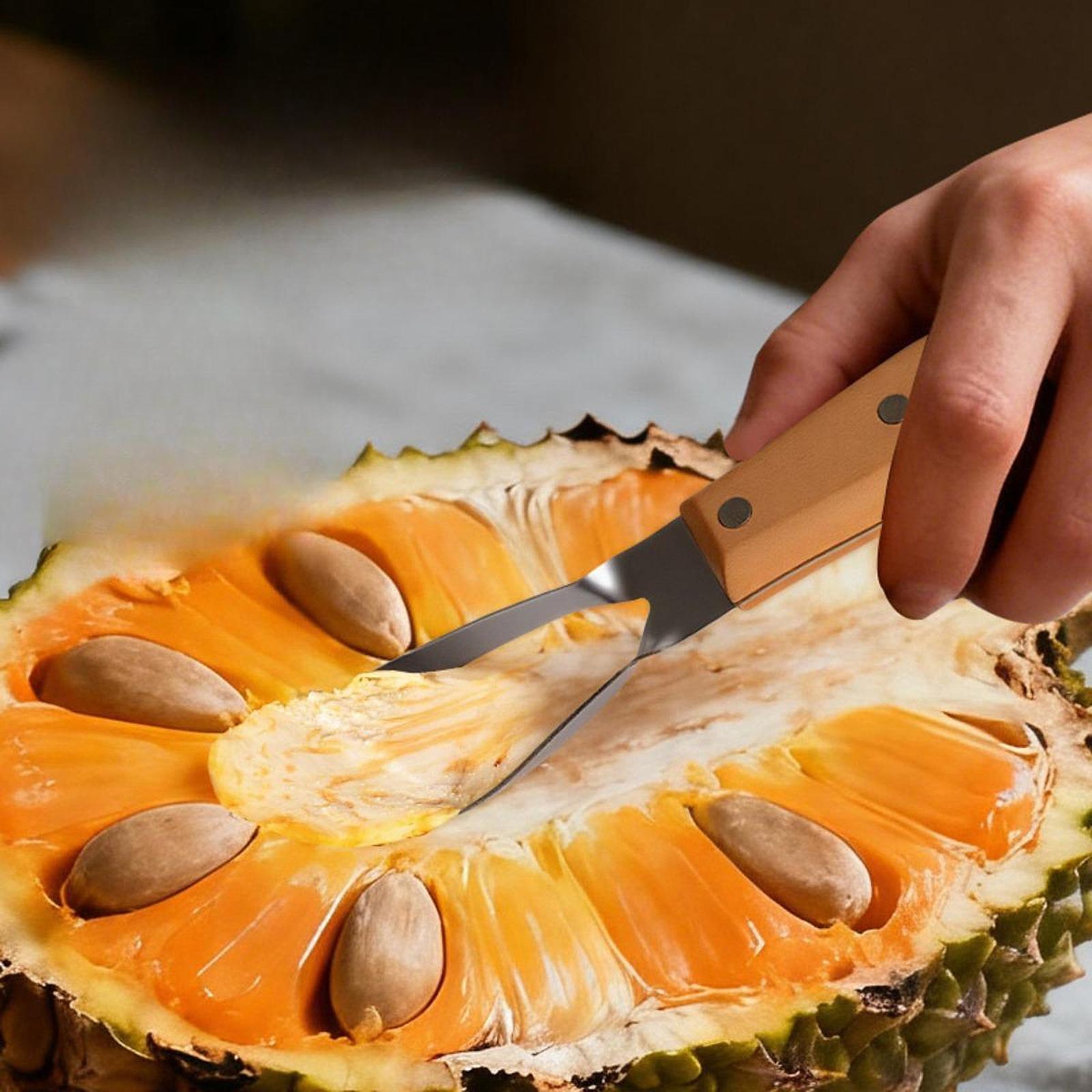 Éplucheur de jackfruit, portab - Kitchen Gadgets Store avis et prix