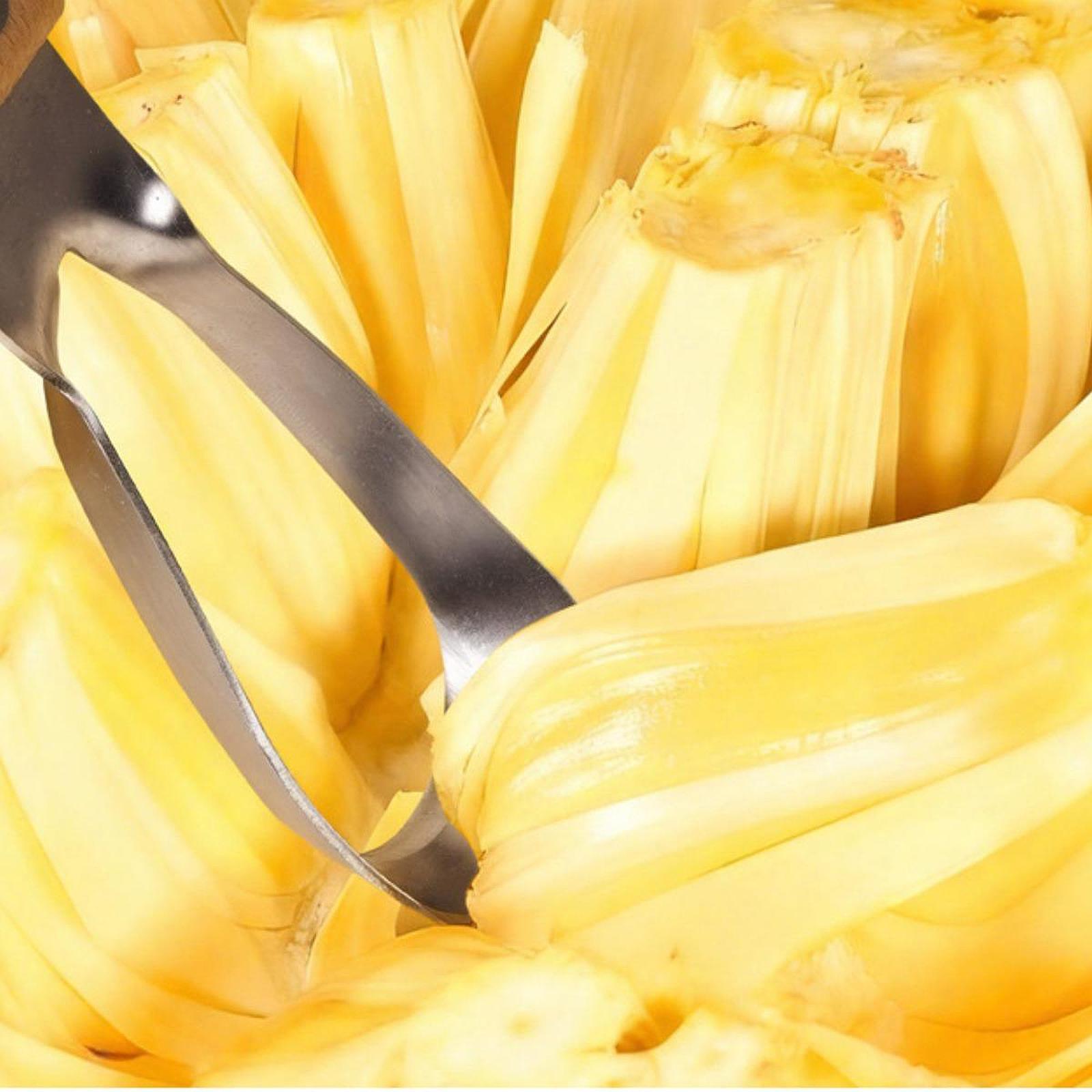 Éplucheur de jackfruit, portab - Kitchen Gadgets Store avis et prix