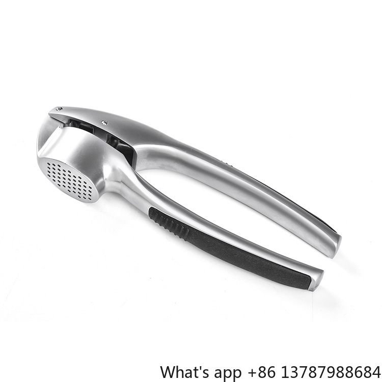 Presse-ail en alliage de zinc, - Kitchen Hand Gadgets avis et prix