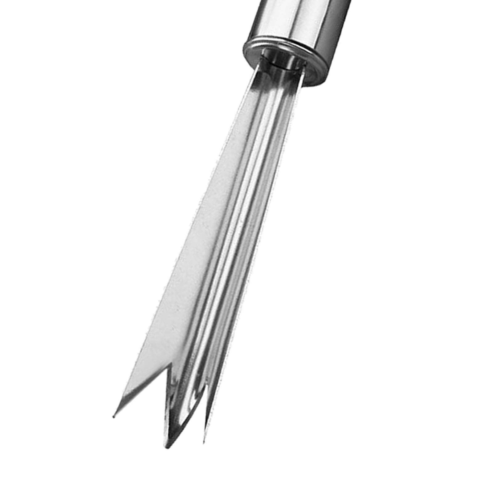 Éplucheur d'ananas, gadget de  - Kitchen Gadgets Store avis et prix